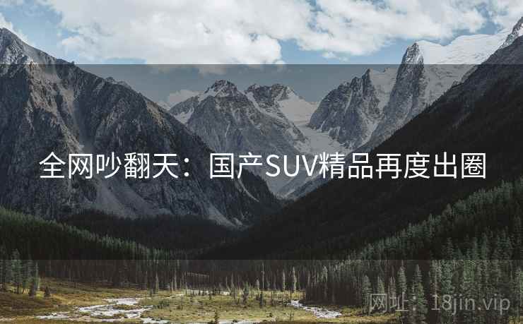 全网吵翻天：国产SUV精品再度出圈